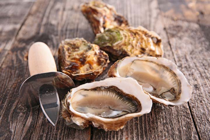 Oysters_0915